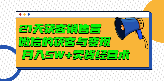 【副业项目3530期】微信营销的方法和技巧：21天获客销售营，带你破解微信的获客与变现-网创财富岛