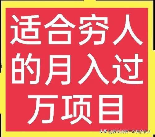 适合农村人做的赚钱项目（在农村做什么项目好）-网创财富岛