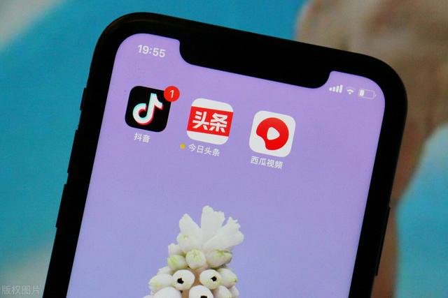 今日头条怎么写文章详细步骤插图3 今日头条怎么写文章详细步骤插图3