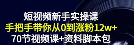 【副业项目3562期】短视频新手实操课：新手做短视频的整个步骤，手把手带你从0到涨粉12w+-网创财富岛