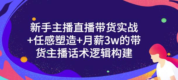 【副业项目3593期】新手如何做直播带货话术：信任感塑造+月薪3w的带货主播话术逻辑构建-网创财富岛