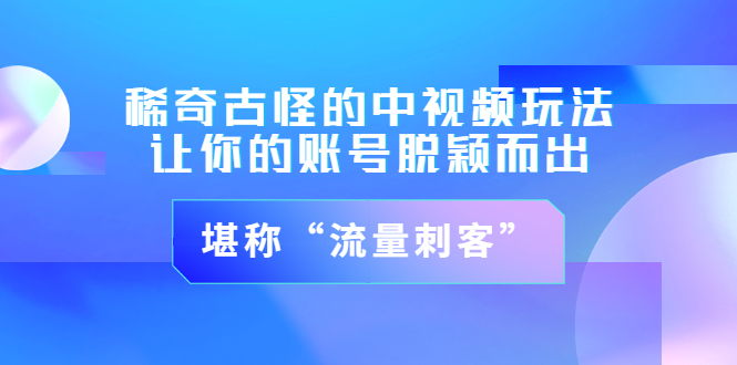 【副业项目3652期】稀奇古怪的中视频玩法，让你的账号脱颖而出，堪称“流量刺客”（图文+视频)-网创财富岛