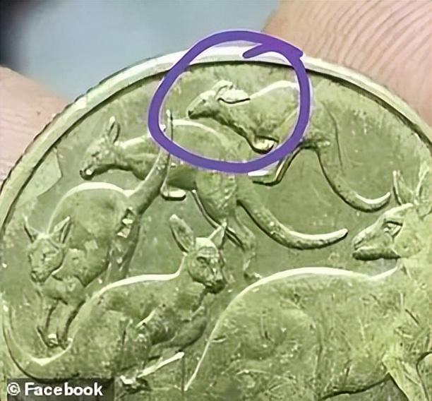 澳洲Teenager空手套白狼赚钱项目插图11 澳洲Teenager空手套白狼赚钱项目插图11