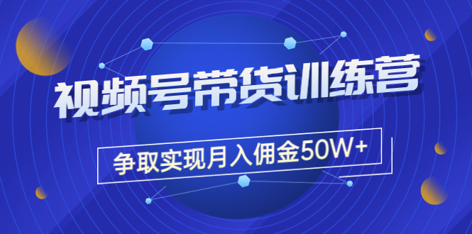 【副业项目3707期】视频号直播带货教程，教你如何实现月入佣金50W+（课程+资料+工具）-网创财富岛
