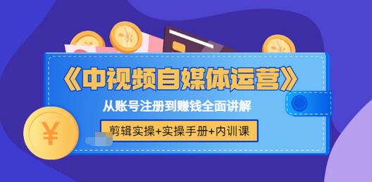 【副业项目3715期】中视频自媒体运营实操+实操手册+内训课，从账号注册到赚钱全面讲解-网创财富岛