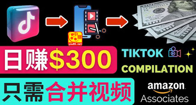 【副业项目3813期】搬运Tiktok短视频到Youtube赚钱，只需下载，合并视频，日赚300美元-网创财富岛