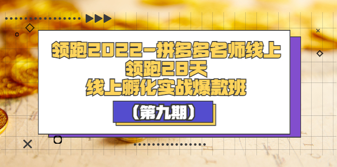 【副业项目3821期】拼多多名师线上领跑28天，拼多多线上孵化实操爆款班（第九期）-网创财富岛