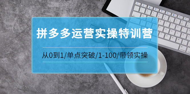 【副业项目3863期】拼多多运营实操特训营：拼多多直通车进阶优化技巧，拼多多如何操作利润最大化-网创财富岛