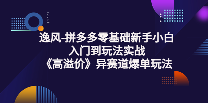 【副业项目3877期】逸风-拼多多新手小白入门到玩法实战，异赛道爆单玩法实操课-网创财富岛
