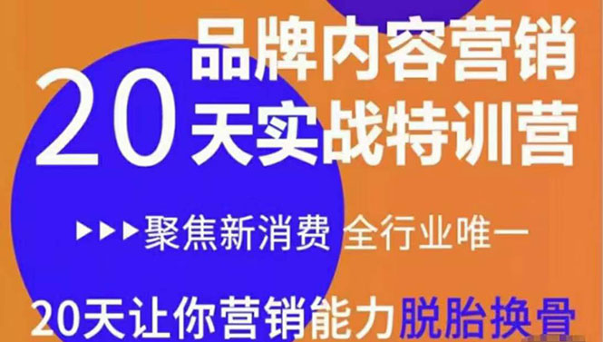 【副业项目3899期】《内容营销实操特训营》20天让你营销能力脱胎换骨（价值3999）-网创财富岛
