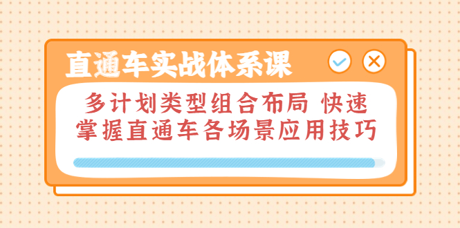【副业项目3910期】直通车实战体系课：多计划类型组合布局，快速掌握直通车各场景应用技巧-网创财富岛