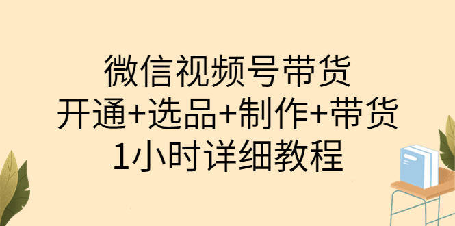 【副业项目3940期】陈奶爸·微信视频号带货：开通+选品+制作+带货（1小时详细教程）-网创财富岛