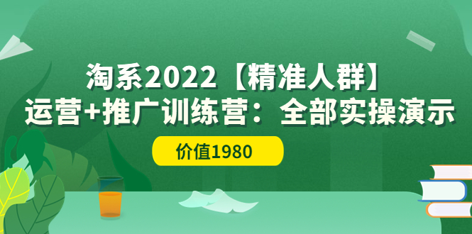 【副业项目3941期】淘系2022【精准人群】运营+推广训练营：全部实操演示-网创财富岛