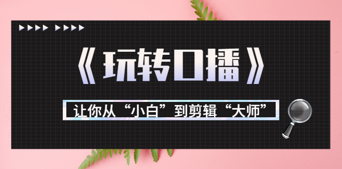 【副业项目3987期】月营业额700万+大佬教您《玩转口播》让你从“小白”到剪辑“大师”-网创财富岛