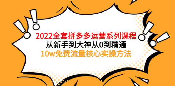 【副业项目4045期】2022全套拼多多运营课程：新手怎么做拼多多电商，10w免费流量核心实操方法-网创财富岛