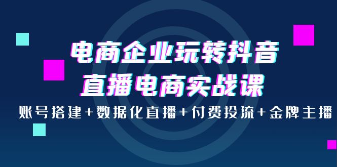 【副业项目4147期】电商企业玩转抖音直播电商实战课：账号搭建+数据化直播+付费投流+金牌主播-网创财富岛