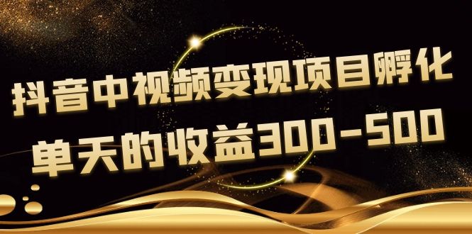 【副业项目4157期】黄岛主《抖音中视频变现项目孵化》单天的收益300-500 操作简单粗暴-网创财富岛