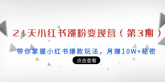 【副业项目4158期】21天小红书涨粉变现营（第3期）：带你掌握小红书爆款玩法，月赚10W+秘密-网创财富岛