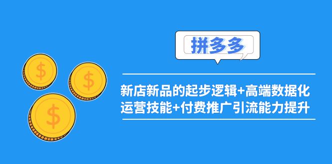 【副业项目4181期】2022拼多多：新店新品的起步逻辑+高端数据化运营技能+付费推广引流能力提升-网创财富岛