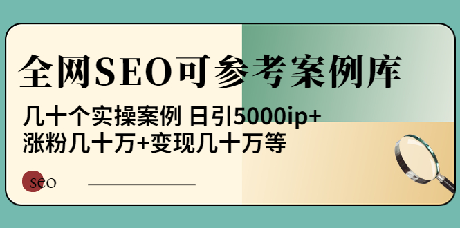 【副业项目4188期】《全网SEO可参考案例库》几十个实操案例 日引5000ip+涨粉百W+变现几十W等-网创财富岛