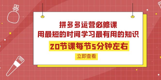 【副业项目4189期】拼多多运营必修课：20节课每节5分钟左右，用最短的时间学习最有用的知识-网创财富岛