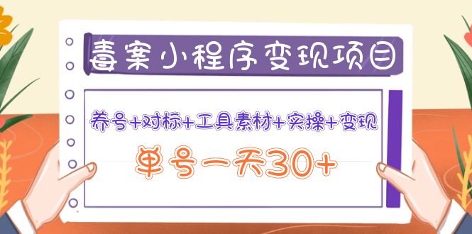 【副业项目4214期】图文案小程序变现项目：养号+对标+工具素材+实操+变现，单号一天30+-网创财富岛