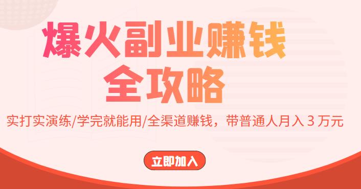 【副业项目4216期】爆火副业赚钱全攻略：实打实演练/学完就能用/全渠道赚钱，带普通人月入３万元-网创财富岛