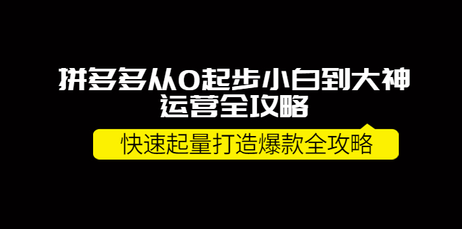 【副业项目4227期】拼多多从0起步小白到大神运营全攻略，快速起量打造10W+爆款全攻略-网创财富岛