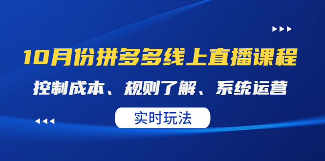 【副业项目4438期】某收费10月份拼多多线上直播课： 控制成本、规则了解、系统运营，实时玩法-网创财富岛