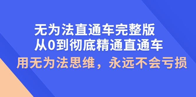 【副业项目4253期】无为法直通车完整版：从0到彻底精通直通车，用无为法思维，永远不会亏损-网创财富岛