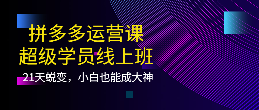 【副业项目4260期】拼多多运营课：超级学员线上班，21天蜕变，小白也能成大神-网创财富岛