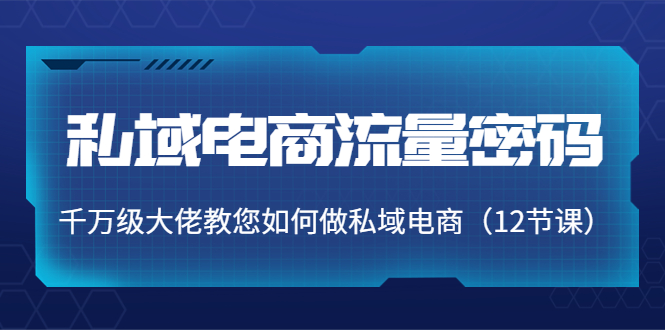 【副业项目4297期】私域电商流量密码：千万级大佬教您如何做私域电商（12节课）-网创财富岛