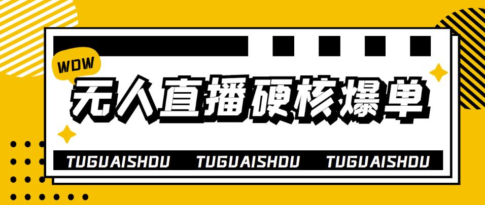【副业项目4299期】大飞无人直播硬核爆单技术，轻松玩转无人直播，暴利躺赚-网创财富岛