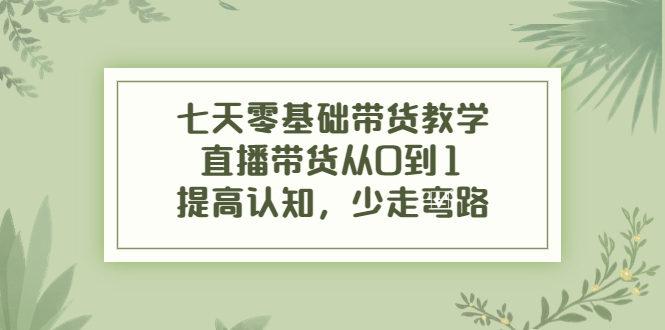 【副业项目4305期】七天零基础带货教学：直播带货从0到1，提高认知，少走弯路-网创财富岛