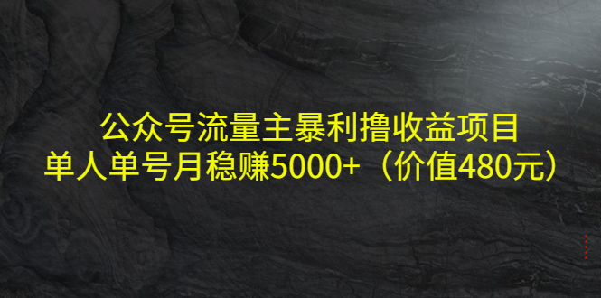 【副业项目4325期】公众号流量主暴利撸收益项目，单人单号月稳赚5000+（价值480元-网创财富岛