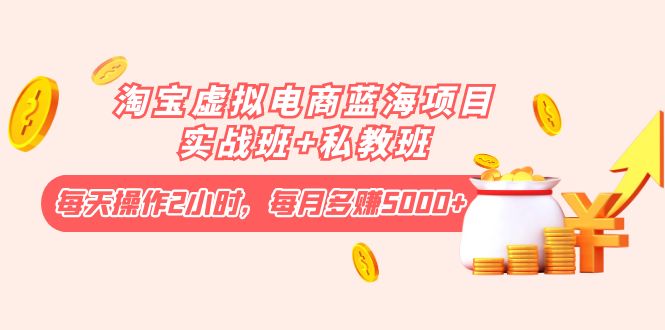 【副业项目4366期】淘宝虚拟电商蓝海项目实战班+私教班：每天操作2小时，每月多赚5000+-网创财富岛