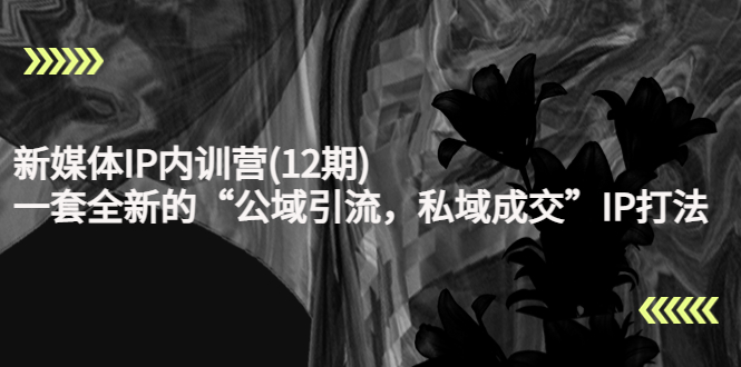 【副业项目4405期】新媒体IP内训营(12期)：一套全新的“公域引流，私域成交”IP打法，直接带走-网创财富岛