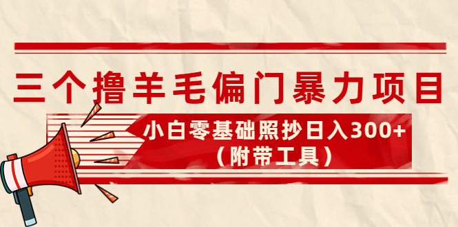 【副业项目4412期】外面卖998的三个撸羊毛偏门暴力项目，小白零基础照抄日入300+（附带工具）-网创财富岛