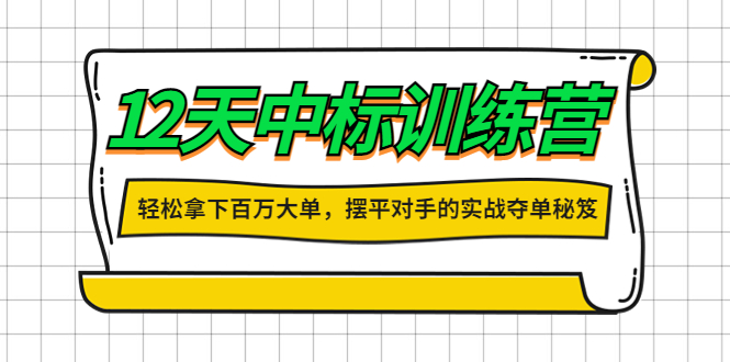 【副业项目4416期】12天中标训练营：轻松拿下百万大单，摆平对手的实战夺单秘笈-网创财富岛