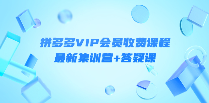 【副业项目4426期】某社群·拼多多VIP会员收费课程，最新集训营+答疑课-价值3299元-网创财富岛