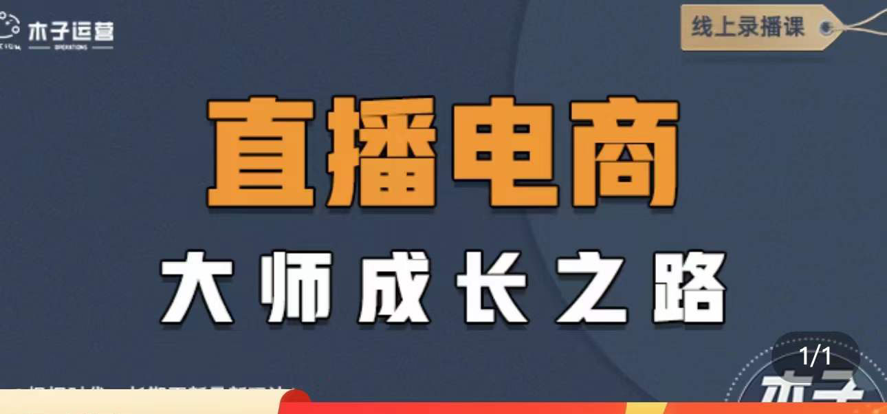 【副业项目4494期】直播电商高手成长之路：教你成为直播电商大师，玩转四大板块（25节）-网创财富岛