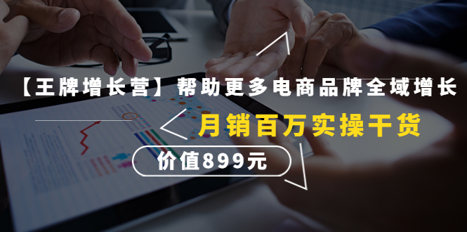 【副业项目4547期】【王牌增长营】帮助更多电商品牌全域增长，月销百万实操干货，价值899元-网创财富岛