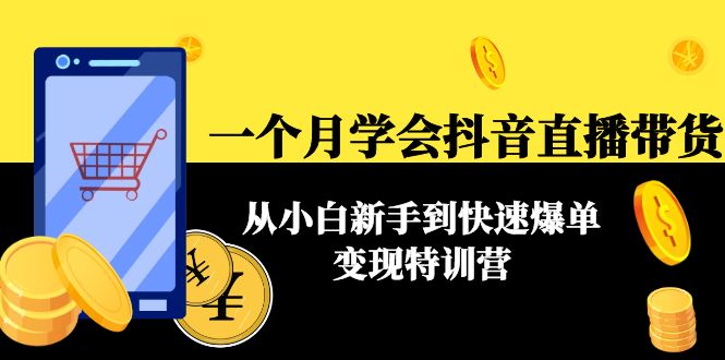 【副业项目4577期】一个月学会抖音直播带货：从小白新手到快速爆单变现特训营(63节课)-网创财富岛