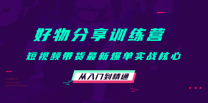 【副业项目4585期】好物分享训练营：短视频带货最新爆单实战核心，从入门到精通-网创财富岛