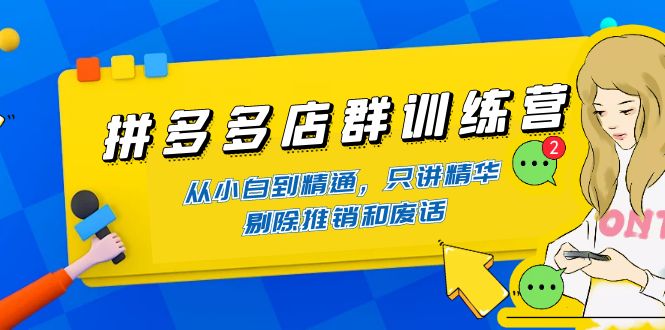 【副业项目4593期】98K电商学院·拼多多店群培训课，0基础也能学，从入门到精通-价值2499元-网创财富岛