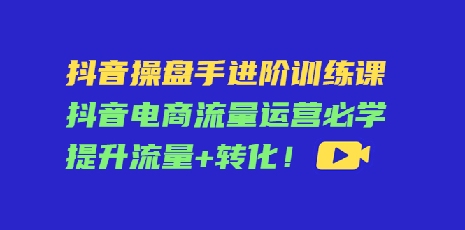 【副业项目4600期】抖音操盘手进阶训练课：抖音电商流量运营必学，提升流量+转化-网创财富岛