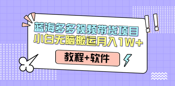 【副业项目4612期】人人都能操作的蓝海多多视频带货项目 小白无脑搬运月入10000+（教程+软件）-网创财富岛