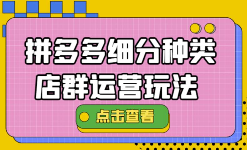 【副业项目4641期】拼多多细分种类店群运营玩法3.0，11月最新玩法，小白也可以操作-网创财富岛