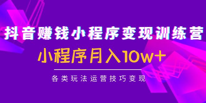【副业项目4765期】抖音赚钱小程序变现训练营：小程序月入10w+各类玩法运营技巧变现-网创财富岛