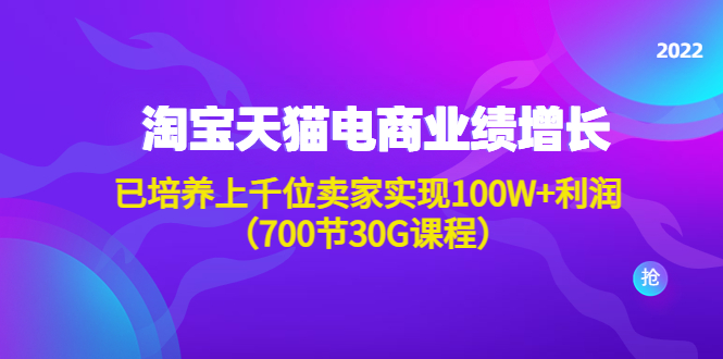 【副业项目4675期】淘系天猫电商业绩增长：已培养上千位卖家实现100W+利润（700节30G课程）-网创财富岛